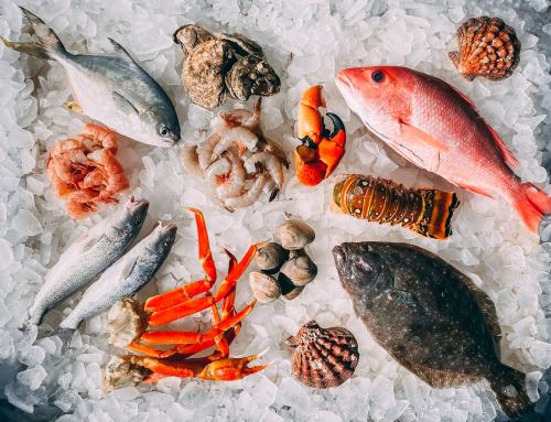 Best fish in Turkey